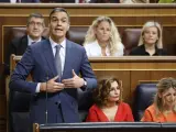 El presidente del Gobierno, Pedro Sánchez, interviene en la sesión de control al Ejecutivo este miércoles en el Congreso.