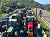 Varios tractores cortan la AP-7 en La Jonquera (Girona).