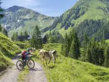 Una mujer en bicicleta de monta&ntilde;a el&eacute;ctrica se encuentra con un reba&ntilde;o de vacas en los Alpes de Austria.