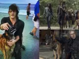 Adi&oacute;s a Seven, el perro de 'The Walking Dead'