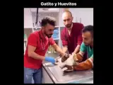 El doblaje se ha hecho viral gracias al ingenio del joven.