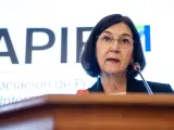 La presidenta de la CNMC, Cani Fernández, durante el XLI seminario de la APIE.