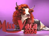Una imagen del certamen de Miss Vaca, del programa 'Luar', de la TVG.