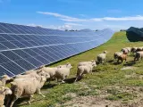 Solarpack se denominará a Zelestra y da un giro estratégico y firma de proyectos por 8GW