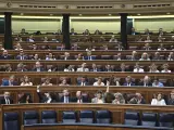 Una sesión plenaria en el Congreso de los Diputados.
