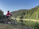 Cicloturismo en la Selva Negra.