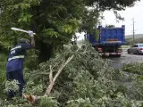 Los daños causados por el huracán Beryl en Jamaica.