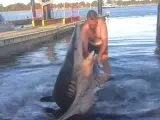 Un hombre agarrando la aleta a un tiburón.