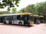 Una imagen de los nuevos autobuses.