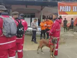 En esta foto publicada por la Agencia Nacional de Búsqueda y Rescate de Indonesia (BASARNAS), los rescatistas se preparan para dirigirse al sitio de un deslizamiento de tierra que mató a varias personas, en Suwawa en la isla de Sulawesi, Indonesia, el lunes 8 de julio de 2024.