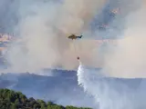 Incendio forestal de Obejo.