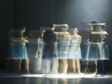 Una imagen de 'Passengers Within', coreografía que interpretará la Compañía Nacional de Danza este fin de semana.