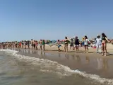 Cadena humana en las playas de Almardà, Corinto y Malvarrosa.