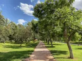 Este parque de valencia cuenta con una extensión de XXX hectáreas.