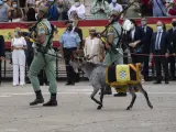 Dos legionarios pasean con la cabra de la legión.