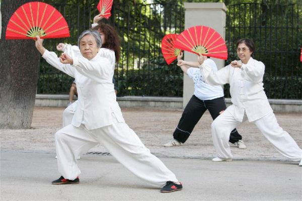 Tai Chi La Meditación En Movimiento 0246