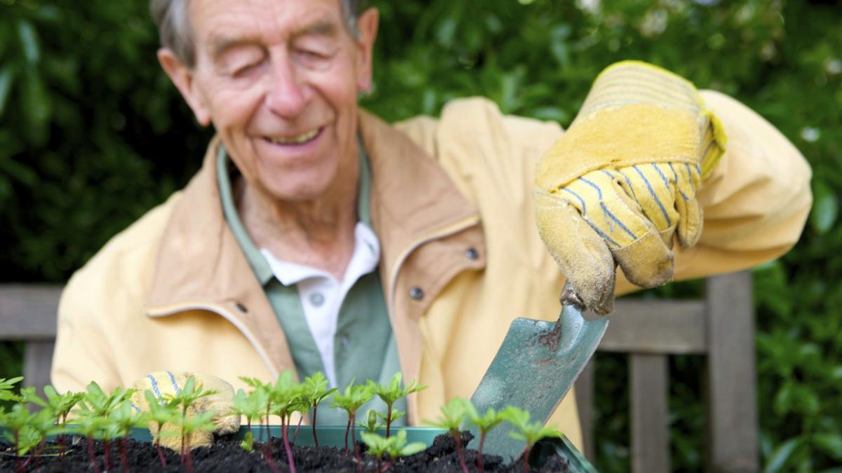 Una persona mayor trabajando sus plantas en un huerto urbano.
